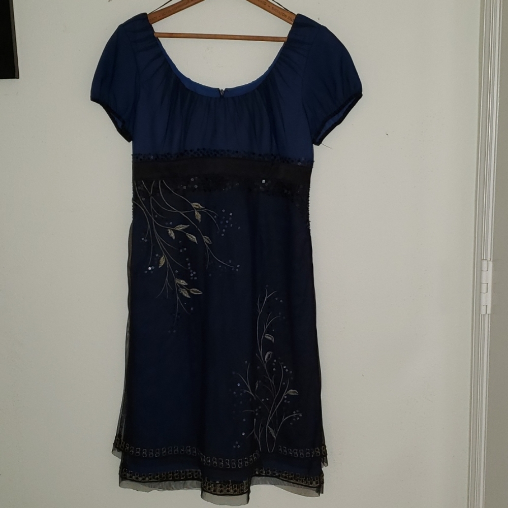 Adrianna Papell Princess Dress